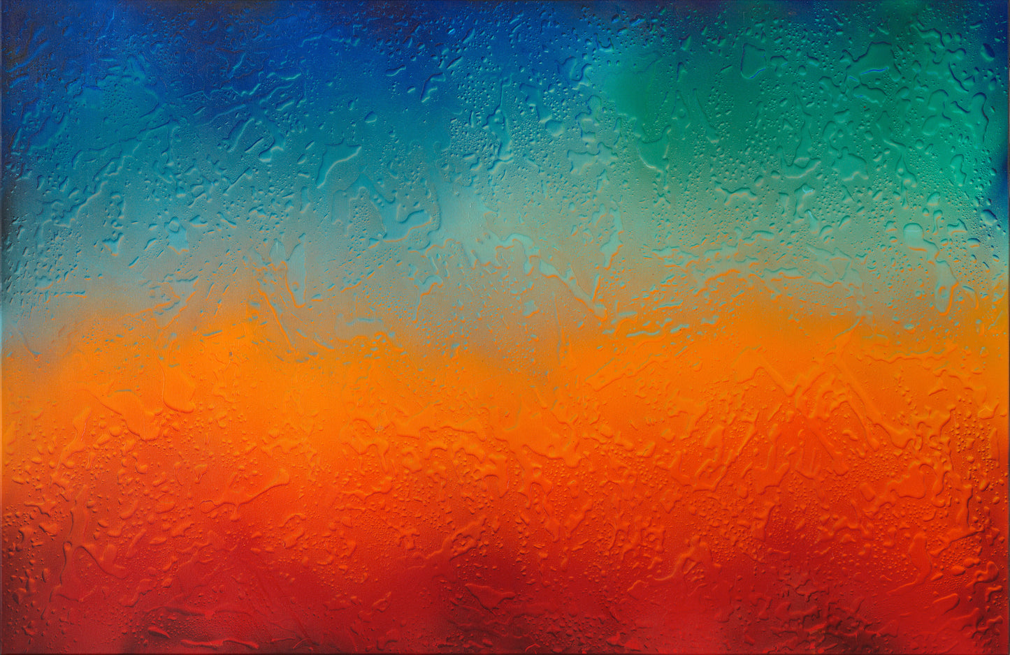 light sensation, 2024
