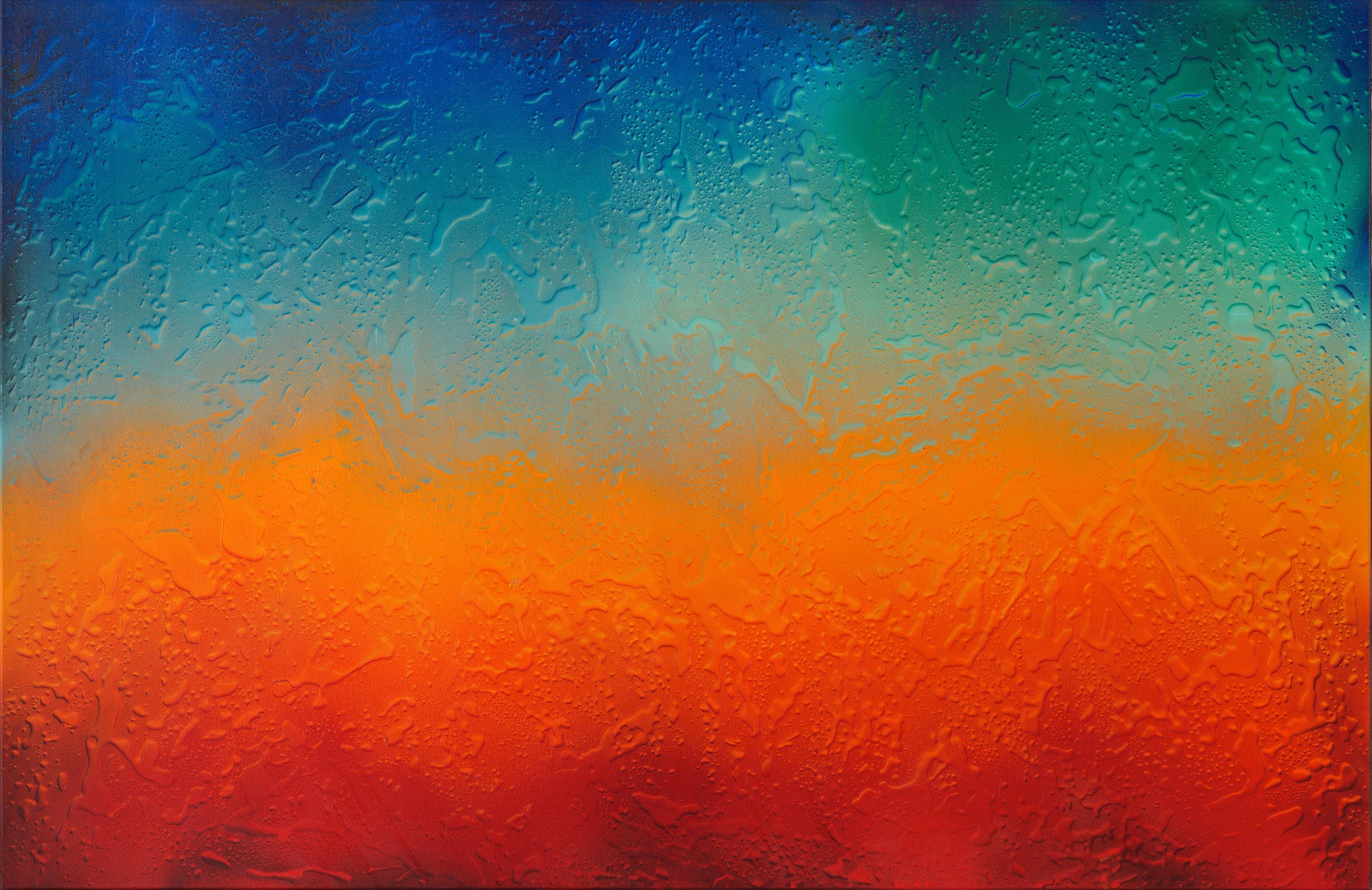 light sensation, 2024